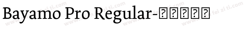 Bayamo Pro Regular字体转换